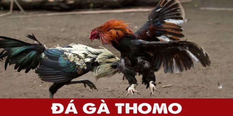 Các hình thức phổ biến tại chiến trường Thomo